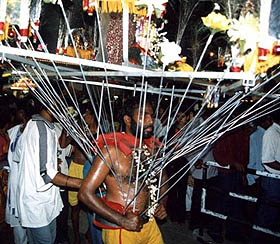 Kavadi.jpg